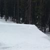 teylortot155
